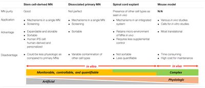 Limitations and Challenges in Modeling Diseases Involving <mark class="highlighted">Spinal Motor Neuron</mark> Degeneration in Vitro